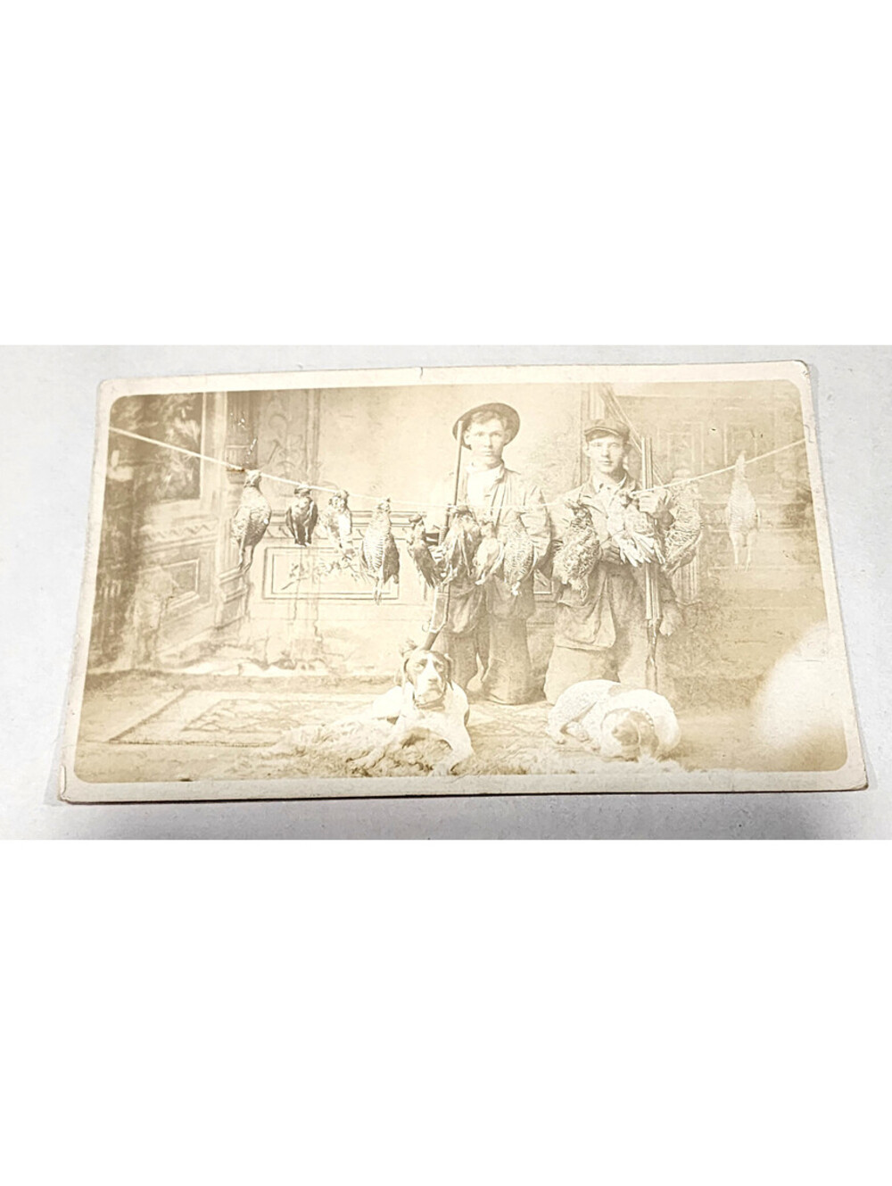 Antique RPPC Photo Quail Hunting Shotgun Dog Pointer Game Bird Postcard AZO 1904